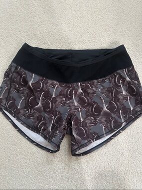 Size 6 Oiselle Black Swan Print Roga Shorts